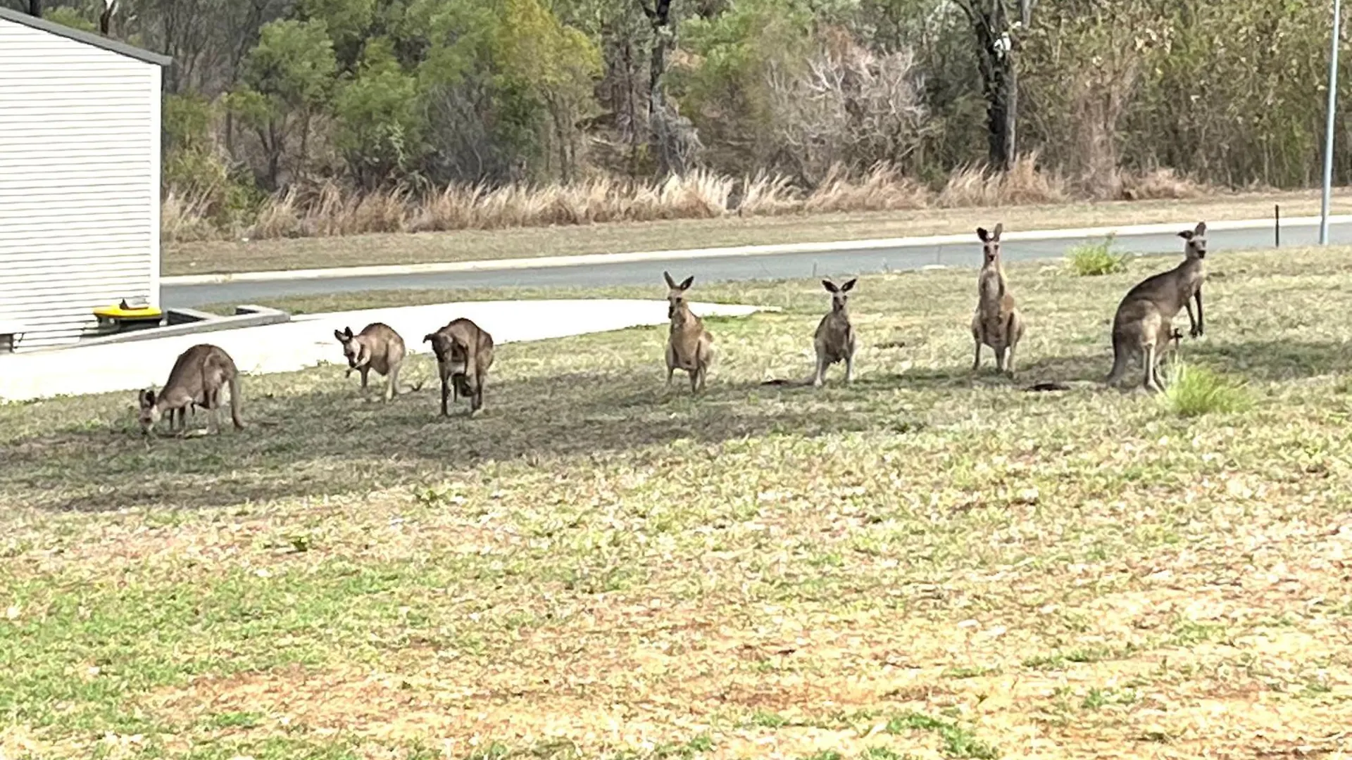 Bowen Sunrise Retreat Guest Suite Australia
